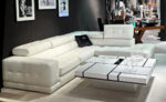 Cavalli